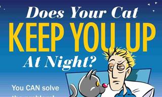 How to Prevent Your Cat From Waking You at Night
