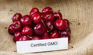 3 Simple Ways to Tell GMO From Organic Foods
