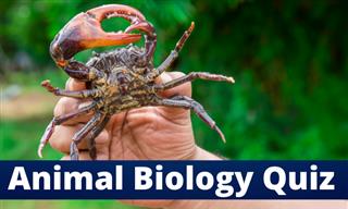 QUIZ: What Do You Know About Animal Biology?