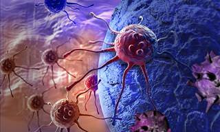 A New Revolutionary Way to Fight Cancer