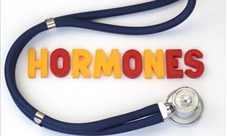 Ever Wondered How Hormones Work? Well, Wonder No More...