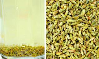 Fennel Seed Water Will Help You Lose Weight