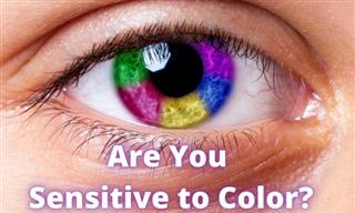Test: Check Your Color Sensitivity!