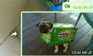 These Boyfriends & Husbands Are Hilarious