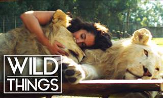 The Most Extraordinary Animal-Human Relationships