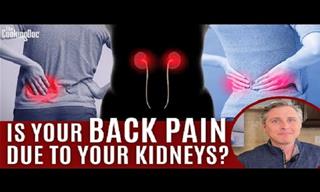 The Surprising Cause of Back Pain No One Told You About