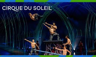 A Magnificent Spectacle by the French Cirque de Soleil