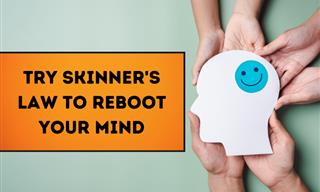 Feeling Stuck? Try Skinner's Law to Reboot Your Mind