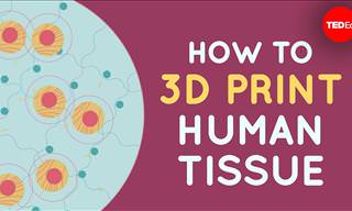 How Printing Human Tissue and Organs Works