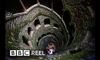The Mysterious Inverted Tower of Regaleira
