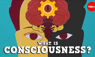 What is Your Consciousness? A Remarkable Video...