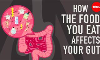 How to Keep a Healthy Gut Microbiome