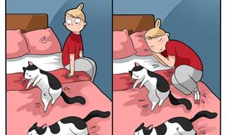 The Good, the Bad, the Fluffy - 25 Hilarious Cat Comics