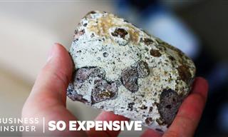 What is Ambergris and What Makes it THAT Expensive?