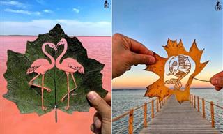 When Art Meets Nature, Beauty Is Born - Leaf Art by Kanat Nurtazin