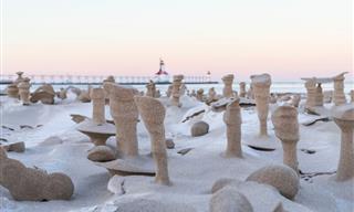 Bizarre Sand Towers Form on Lake Michigan’s Shore