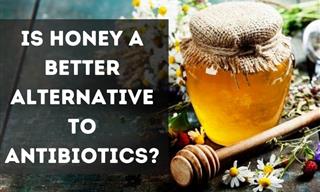Honey, Not Antibiotics, Could Safely Treat Colds & Coughs
