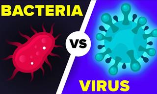 Virus vs Bacteria: Why It’s Key to Know the Difference!