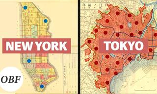 What Makes Tokyo So Special?