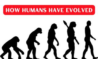 How Much Have Humans Changed Since Their Evolution?