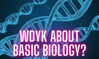 Biology Quiz: 14 Questions About Basic Biology