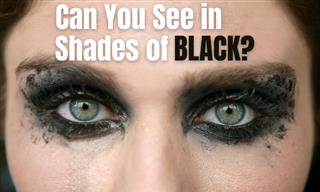 Eye Test: Can You See In Shades of Black?