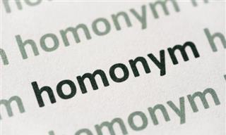 Quiz: Can You Ace This Homonym Test?