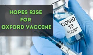 Coronavirus Vaccine Update: Hopes Rise for Oxford Vaccine