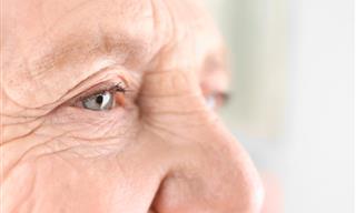 Losing Your Sense of Smell as You Age: What You Can Do About It