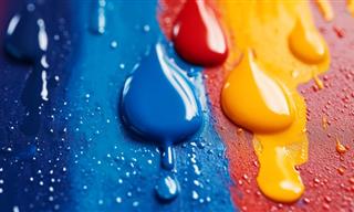 How to Get Paint Stains Off Your Carpet