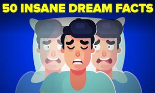 Dreams Deconstructed: 50 Eye-Opening Facts