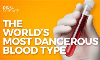 The World's Most Dangerous Blood Type