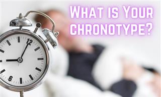 What’s Your Chronotype and What Can It Tell About Your Personality?