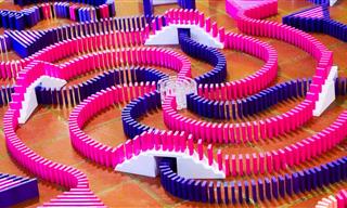 Watch 23,000 Dominos Fall in Less Than a Minute