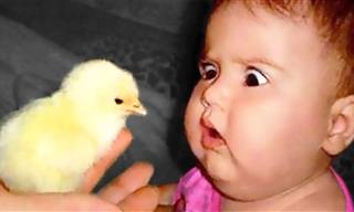 Laugh-Out-Loud Moments: Babies and Their Furry Friends