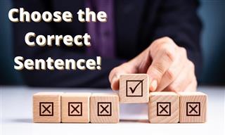 Grammar Test: Choose the Correct Sentence!
