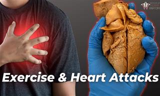 Heart Attack Prevention: The Best Strategies for Safety