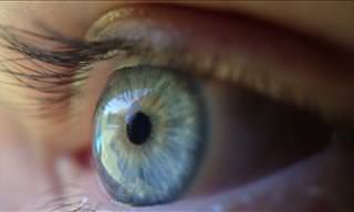 The Best Herbs Nature Offers for Healthy Eyes
