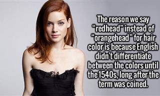 14 Incredible Facts I Never Knew!