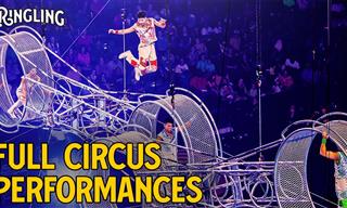 These Acrobatic Displays Show Incredible Balance