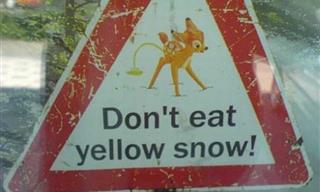 16 Hilarious Signs That State the Obvious