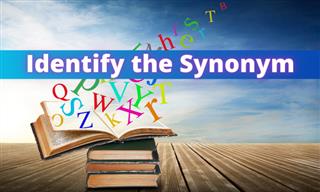 Test Your Vocab: Can You Find the Synonym?