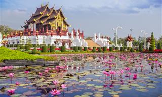 Welcome to Stunning Chiang Mai, Thailand