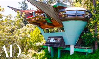 Welcome to Elk Rock Residence, a Retro Luxury Tree House