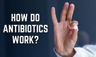 5 Intriguing Questions About Antibiotics Answered