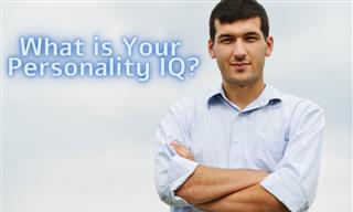 Test Yourself: How Does Personality Affect Intelligence Type?