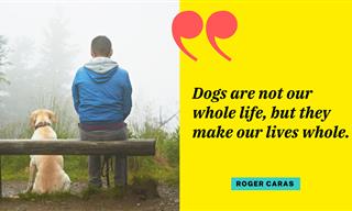 15 Beautiful Quotes about the Bond between Dogs and People