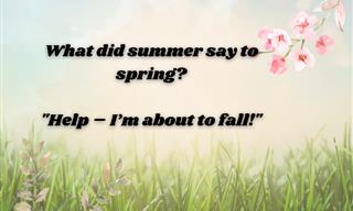 18 Hysterical Spring Jokes That Are Sure to Make You Laugh