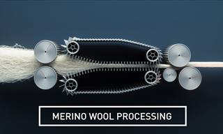 How It's Made: Merino Wool