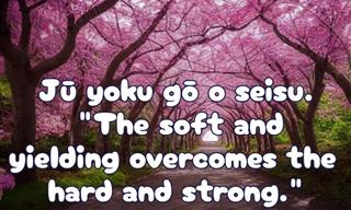15 Wise Japanese Proverbs and Their Meanings